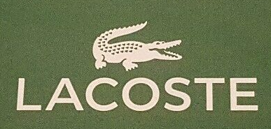 Blændende Spanien Lejlighedsvis How To Identify Fake Lacoste Sneakers in 2023 | Lacosted